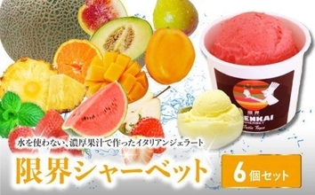 名産果実のおいしさ、涼しく爽やかに　ふるさとチョイスで人気の【シャーベット】5選