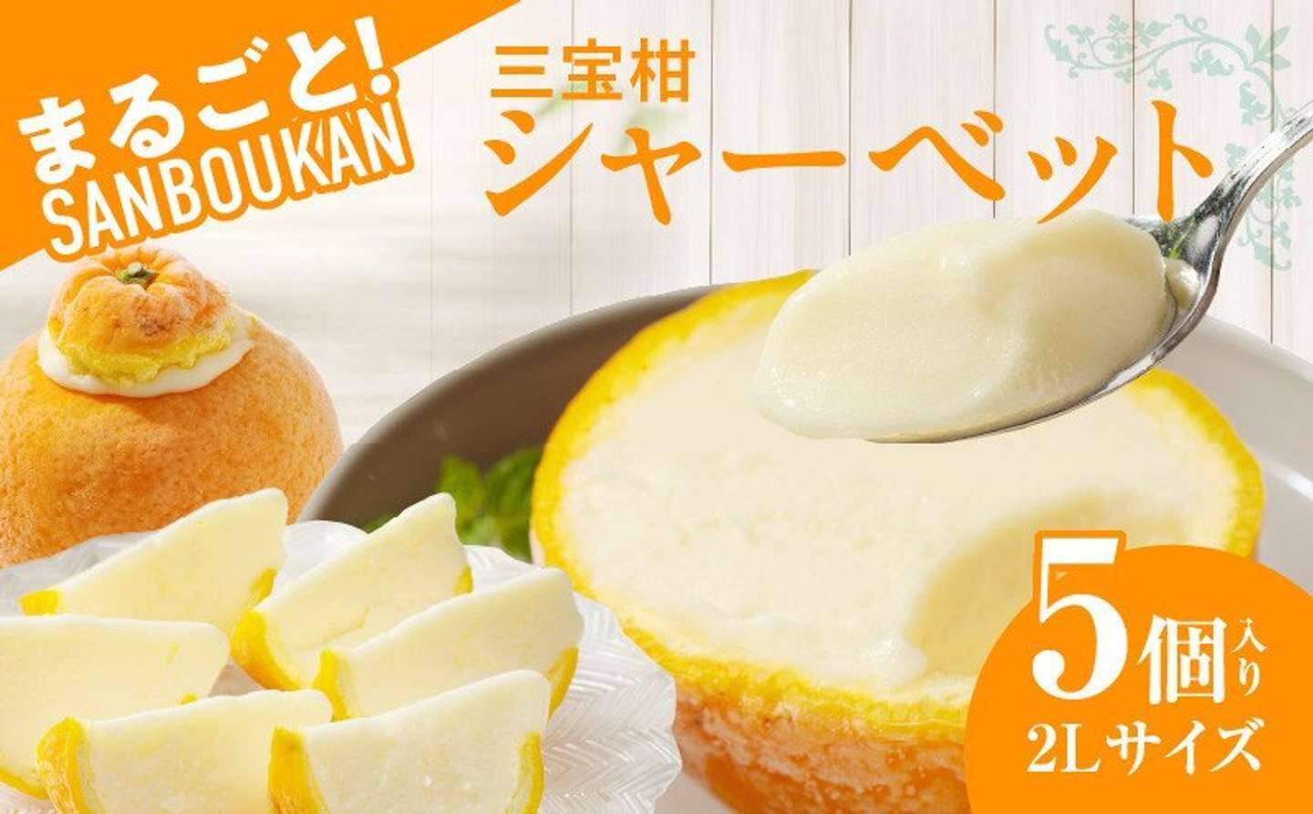 名産果実のおいしさ、涼しく爽やかに　ふるさとチョイスで人気の【シャーベット】5選