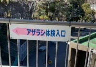 「いや怖」「悲鳴をあげてしまった」　静岡・日本平動物園の〝アザラシ体験〟が恐ろしすぎて...2.1万人戦慄