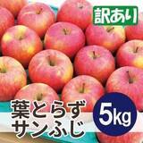「「鮮度が違う」「別の果物みたい」　ふるさとチョイスで人気の【りんご】トップ5」の画像1