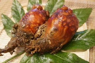 今年の宮城県産ホヤは「甘味が強く、最高」　海のパイナップル、今が旬です