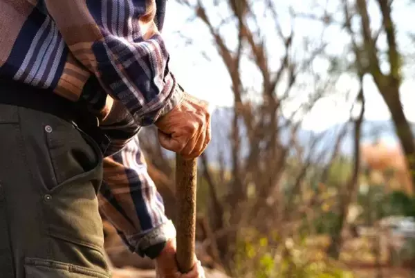 「そんなもん無いぞ」すがるように尋ねたのに無情の答え　そして男は私を手招きして（大阪府・60代男性）