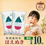 「山形うまれのモチモチ食感、噛むほど広がるお米の甘み　ふるさとチョイスで人気の【はえぬき】5選」の画像2