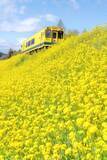 「「もう一度みたい」「復活してください」　運休中「いすみ鉄道」の〝春の思い出〟に懐かしむ声」の画像1