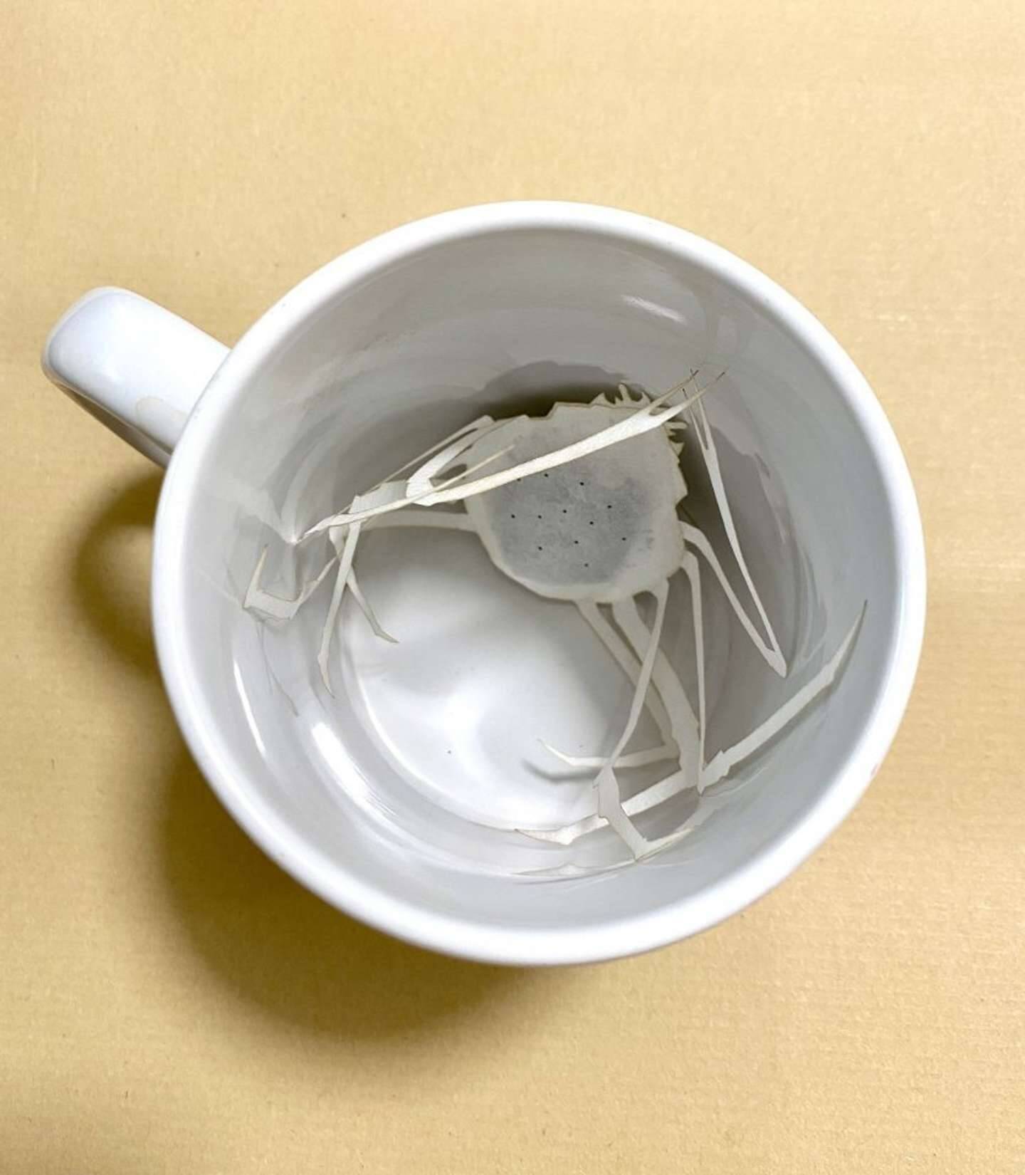 海のにおいがしてきそう カニのスペシャリスト が開発したティーバッグが リアルすぎて戸惑うレベル 22年6月28日 エキサイトニュース