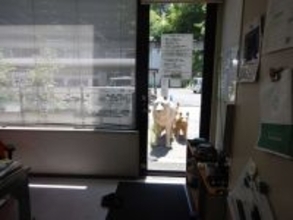 「逃げられたかと思って心臓が...」　動物園の事務所を覗く〝オオカミたち〟に飼育員ヒヤリ