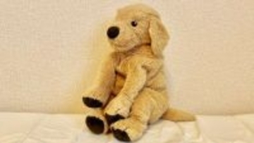 「お気に入りのぬいぐるみを他県の店に忘れてきた幼い息子。電話で『着払いで送って』と頼んだのに...」（岡山県・40代女性）