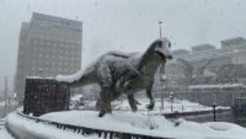 「隕石衝突後の世界」「リアルすぎる」　〝氷河期〟迎えた福井駅前で動くヤツらに9.3万人驚がく