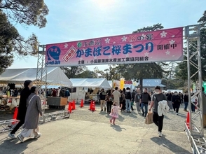 関東屈指の桜の名所・小田原城でのお花見がたのしいっ　4月4・5日の「おでんサミット」もお見逃しなく【2026年レポート】