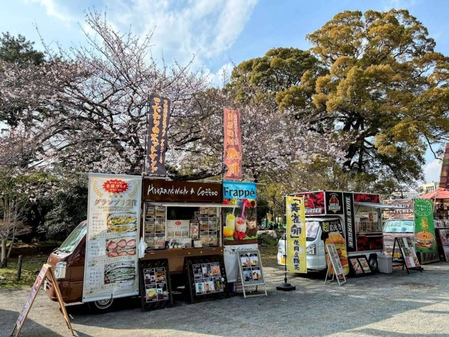 関東屈指の桜の名所・小田原城でのお花見がたのしいっ　4月4・5日の「おでんサミット」もお見逃しなく【2026年レポート】