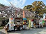 「関東屈指の桜の名所・小田原城でのお花見がたのしいっ　4月4・5日の「おでんサミット」もお見逃しなく【2026年レポート】」の画像2