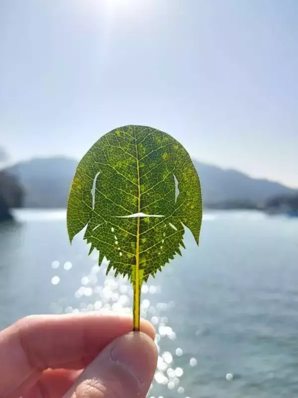 「カブトガニ切ってみました」　再現度高すぎ...専門家による作品にネット感心「さすが本職」「天才」