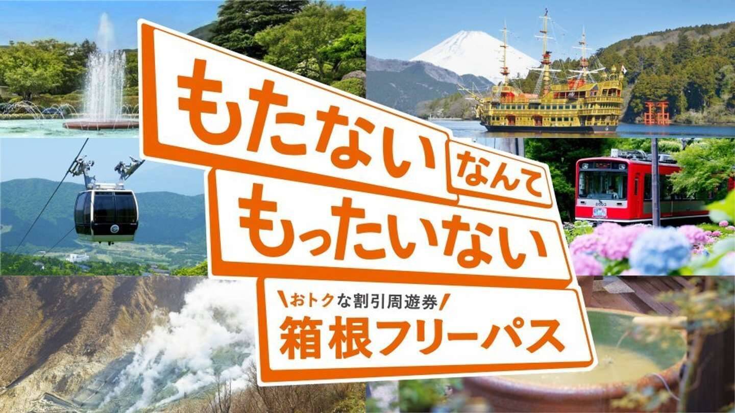 箱根の初夏の風物詩「夜のあじさい号」5／13予約スタート　エモすぎる絶景車窓を見逃すな【運行：6／13～6／30】
