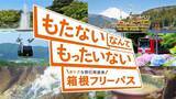 「箱根の初夏の風物詩「夜のあじさい号」5／13予約スタート　エモすぎる絶景車窓を見逃すな【運行：6／13～6／30】」の画像2