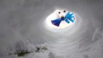 「手袋もってきたワン！」　雪のなか駆け付けた愛犬に10万人感動も...まさかの〝展開〟にズッコケ