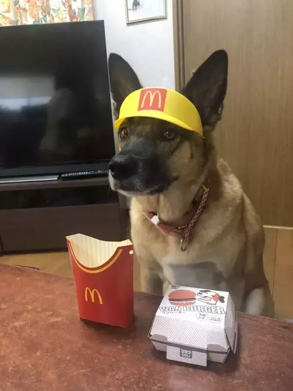 可愛すぎる〝マッククルー〟に2.1万人メロメロ　「毎日通います」「もーマックに住み着いちゃうかも」