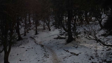 「あの時戻ってきてもらえなかったら、どうなっていたか」　3年前に出会った〝恩人〟に伝えたい感謝