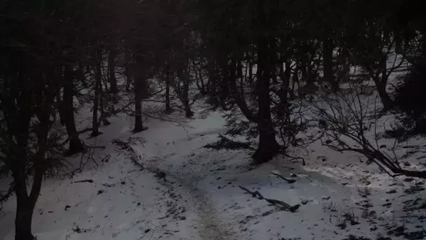 「あの時戻ってきてもらえなかったら、どうなっていたか」　3年前に出会った〝恩人〟に伝えたい感謝