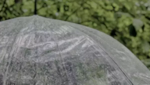 「よかったら...」振り向くと10歳ほど若いお兄さん　女性が9年たっても大切にしているもの（福岡県・40代女性）