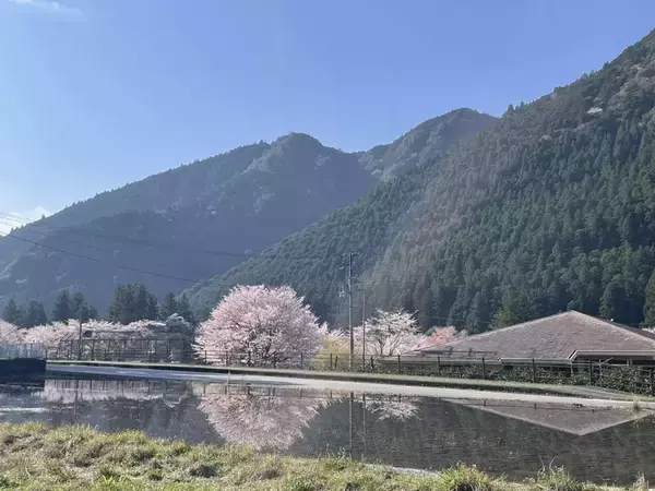 和歌山・北山村の〝何気ない風景〟に村民人口の134倍が「いいね」　国内外から感動の声相次ぐ