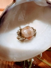 「うっかり食ったら歯が欠けそう」「予想外すぎる」　ハマグリの中から出てきた〝異物〟に3.3万人驚がく