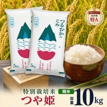 「最高のお米です」「日本一美味い」　ふるさとチョイスで人気の【つや姫】5選
