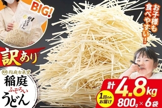讃岐に稲庭、氷見、伊勢、そして？　ふるさとチョイスで人気の【うどん】ランキング