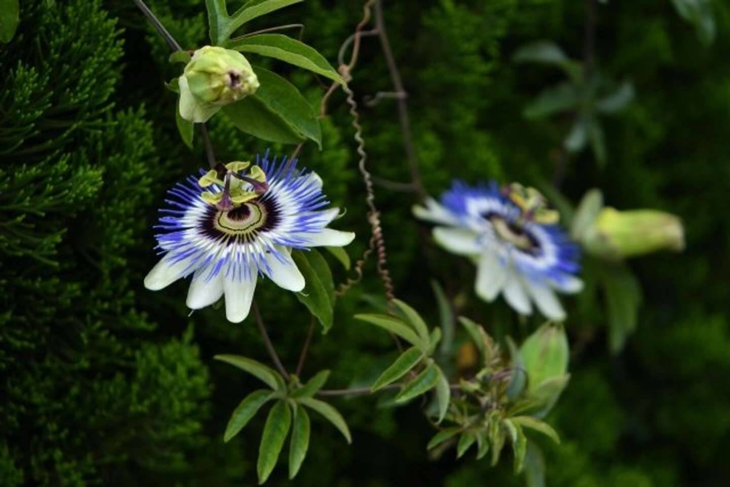 貧しかった我が家　母が残していった、たったひとつの気がかり（鹿児島県・70代男性）
