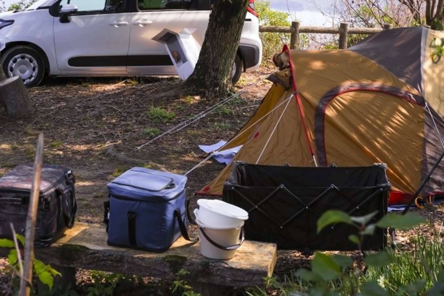 キャンプ場で近くのテントのおじさんが「一緒に飲もう」。誘いに乗ったら翌朝「この後...」（大阪府・50代男性）