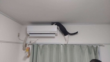 「猫が乗れないようにギリギリまで攻めてください」　天井スレスレにエアコンを設置してもらった結果がこちらです