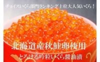 年内発送まだ間に合う！　ふるさとチョイスで人気の【北海道産イクラ】ピックアップ5