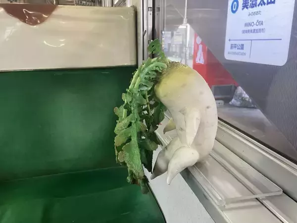 「「終点までこいつと相席なのおもろすぎる」　電車で座ってた〝まさかの相手〟に12万人困惑」の画像