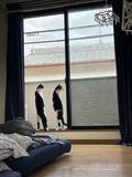 「「平成に猫背置いてきたんか？」「猫の恩返しの立ち方」　あまりにも真っ直ぐな猫兄弟に4.3万人にっこり」の画像1