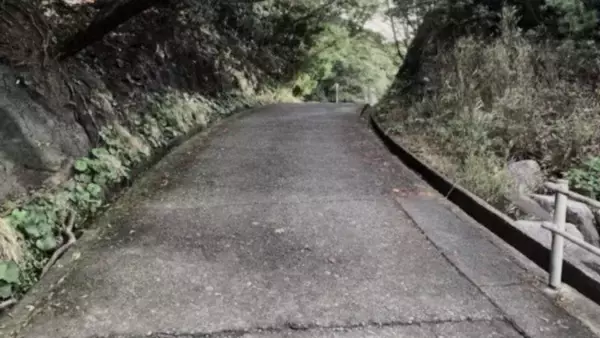 「「学校を早退して帰っていたら不審者に遭遇。『動くな、刺すぞ』と脅されて...」（愛知県・30代女性）」の画像