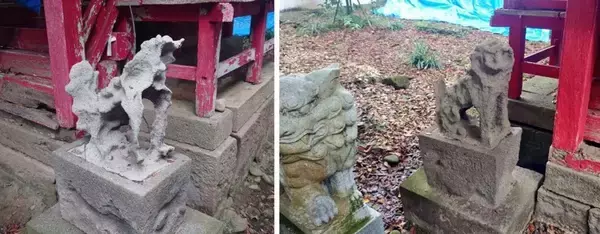 大分・国東半島の〝風化しすぎてる狛犬〟に11万人驚がく　「何年かかったんだろう」「ちょっとしんみり」