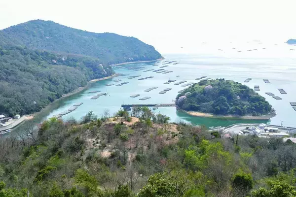 「これは...かわいい」　兵庫・赤穂「みかんのへた山古墳」が話題→名前の由来は？見所は？教育委員会に聞く