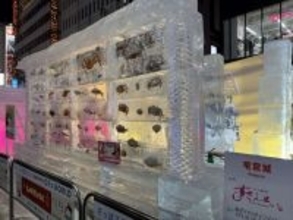 氷の中にカニ、カニ、カニ！　札幌・すすきのの〝2月の風物詩〟がインパクト抜群すぎ