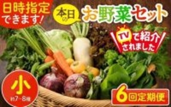 旬のおいしさ、満喫するなら　ふるさとチョイスで人気の【野菜セット】トップ5