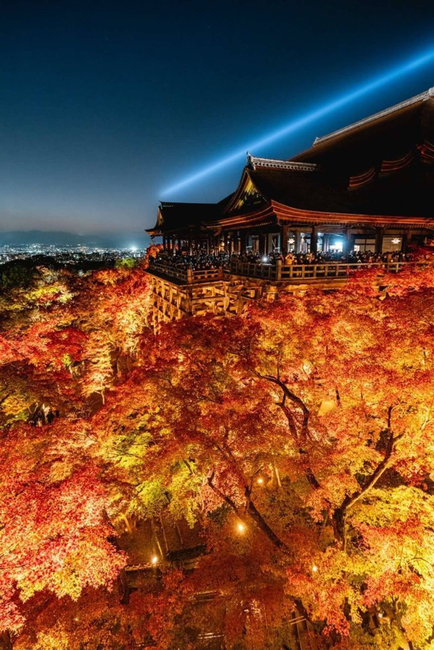 まるで燃えているみたい ライトアップで 限界突破 した秋の夜の清水寺 22年10月日 エキサイトニュース
