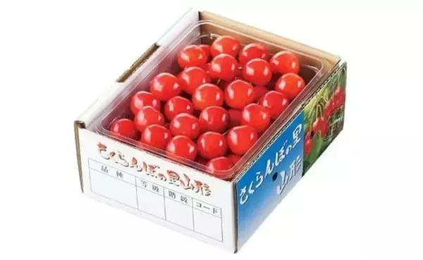 「甘酸っぱい初夏の味を楽しむなら　ふるさとチョイスで人気の【さくらんぼ】トップ5」の画像