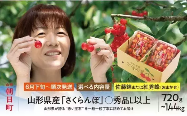 「甘酸っぱい初夏の味を楽しむなら　ふるさとチョイスで人気の【さくらんぼ】トップ5」の画像