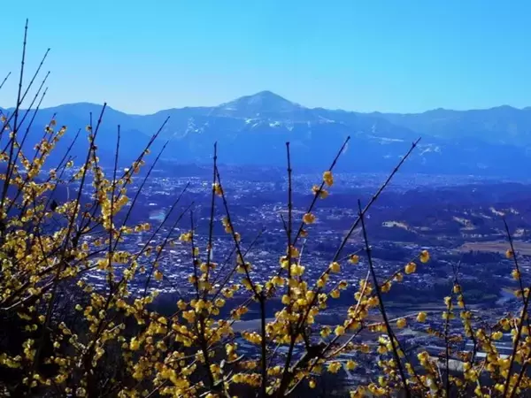 「埼玉・長瀞で「狼少年真神くん」聖地巡礼スタンプラリー　超豪華コンプリート特典も【1／1～31】」の画像