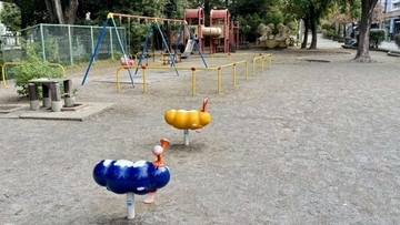 「妊娠中に公園で貧血になった私。見知らぬ女性に『お子さんを見ています』と言われ任せたら」（東京都・70代女性）