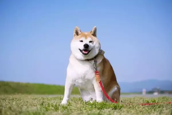 「「夜の山道で車に乗せてくれた同世代の男性。彼との会話で鳥肌が立ったワケ」（大阪府・50代男性）」の画像