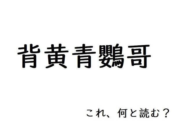 密瓜 屯 酢橘 なんて読むか分かる 身近な難読漢字 19年9月28日 エキサイトニュース