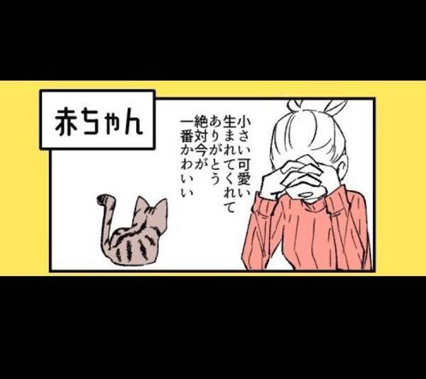 子猫も成猫も老猫も 絶対今が一番かわいい ニャンコの 飼い主あるある 描いた漫画に反響 19年10月3日 エキサイトニュース