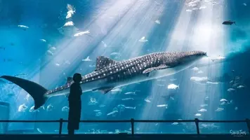 えっ これ合成じゃないの 奇跡的に撮影された世界の鮮やかで美しい写真１５枚 17年3月8日 エキサイトニュース
