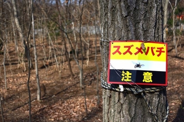 腰痛 その場で3秒 これだけ体操 でラクになる 専門家が教える対策法 17年3月16日 エキサイトニュース