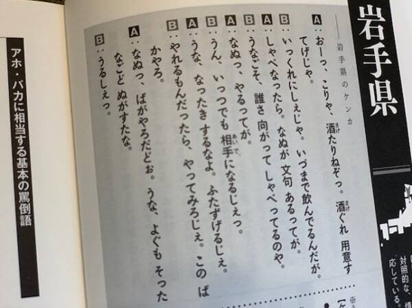 うるしぇ なぬっ やってみろじぇ 岩手弁の口ゲンカ 妙に可愛らしいと話題に 2019年11月11日 エキサイトニュース