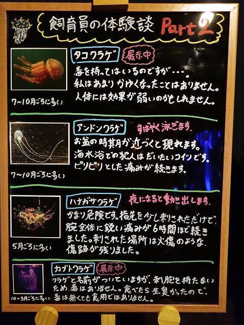 飼育員さん体張りすぎ 水族館の クラゲに刺されてみた 解説文が超アグレッシブ 19年11月12日 エキサイトニュース 2 2